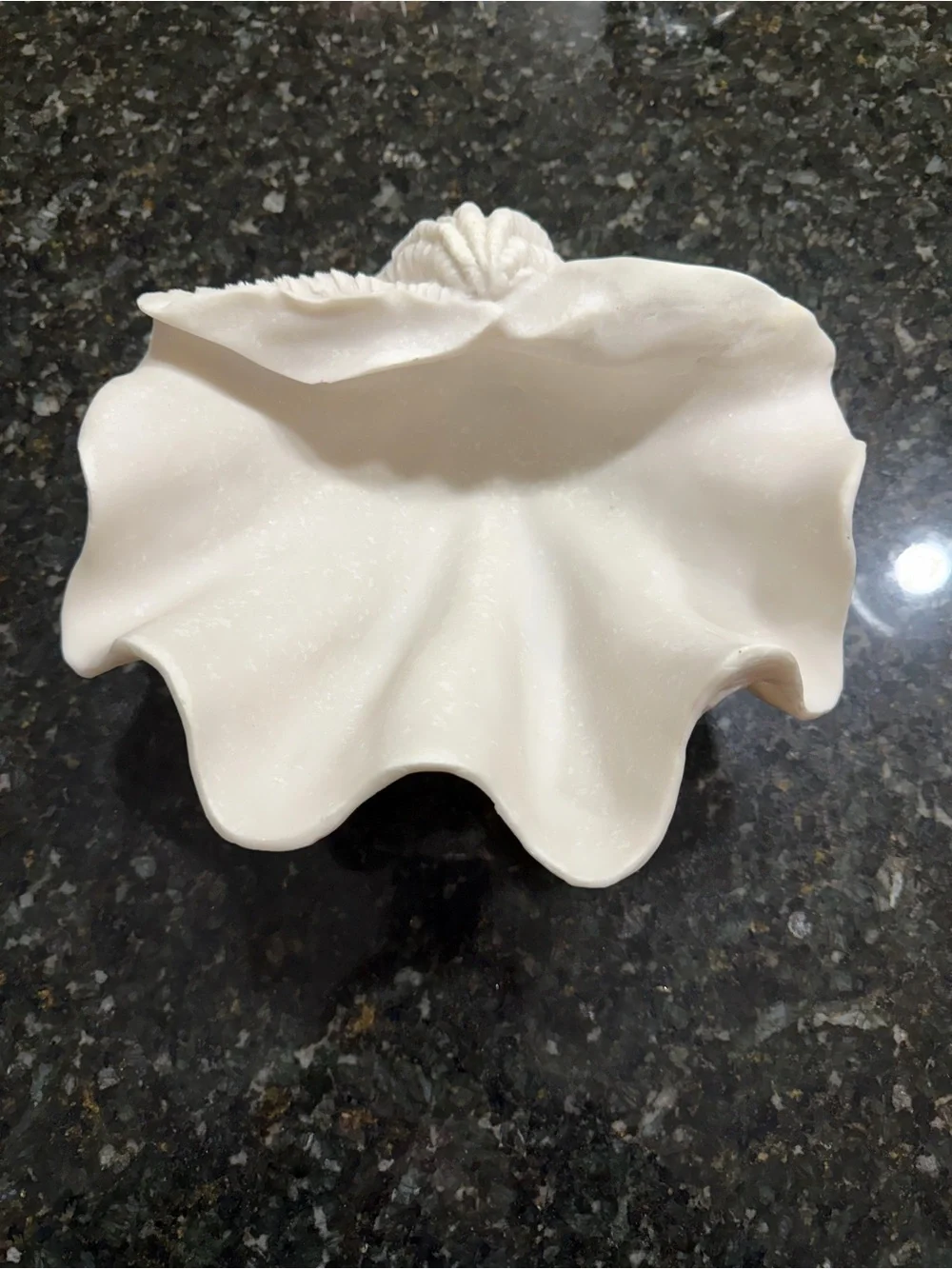 Sculptural White Giant Clam Shell Decorative Bowl Coastal Decor